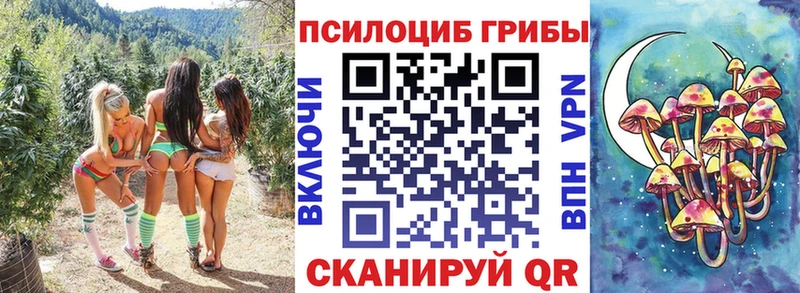 купить наркотики сайты  hydra рабочий сайт  Псилоцибиновые грибы MAGIC MUSHROOMS  Ленинск-Кузнецкий 