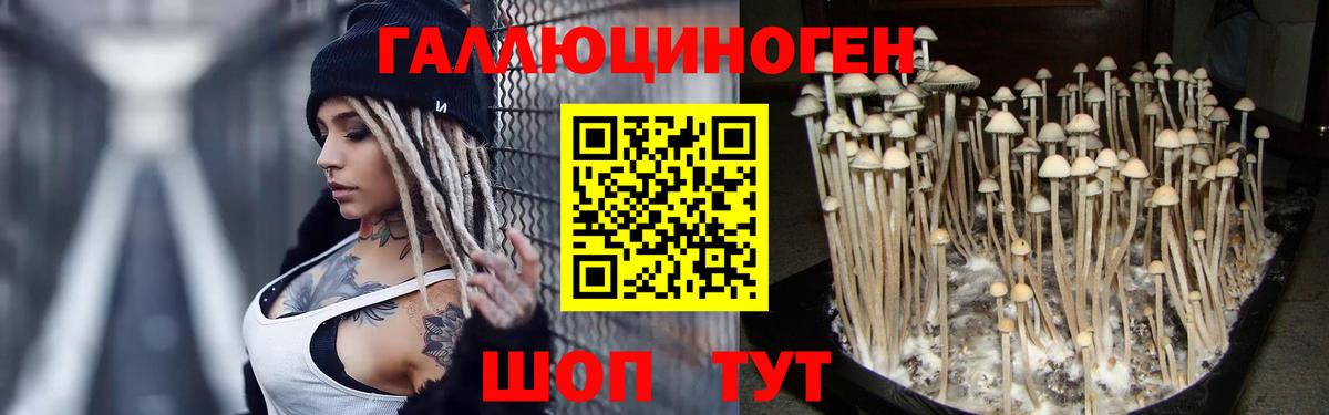 Псилоцибиновые грибы мухоморы Ленинск-Кузнецкий